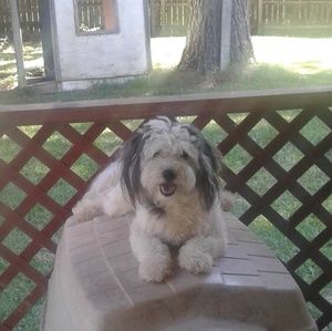 Meet your Posher, Isaac